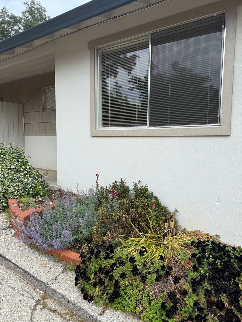 Auburn Townhome: 485 Finley St