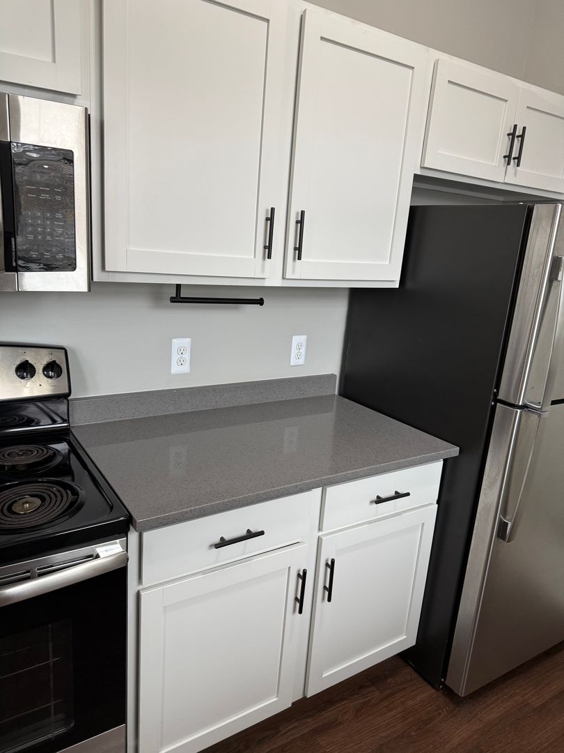 Detroit Apartment: 675 W. Willis