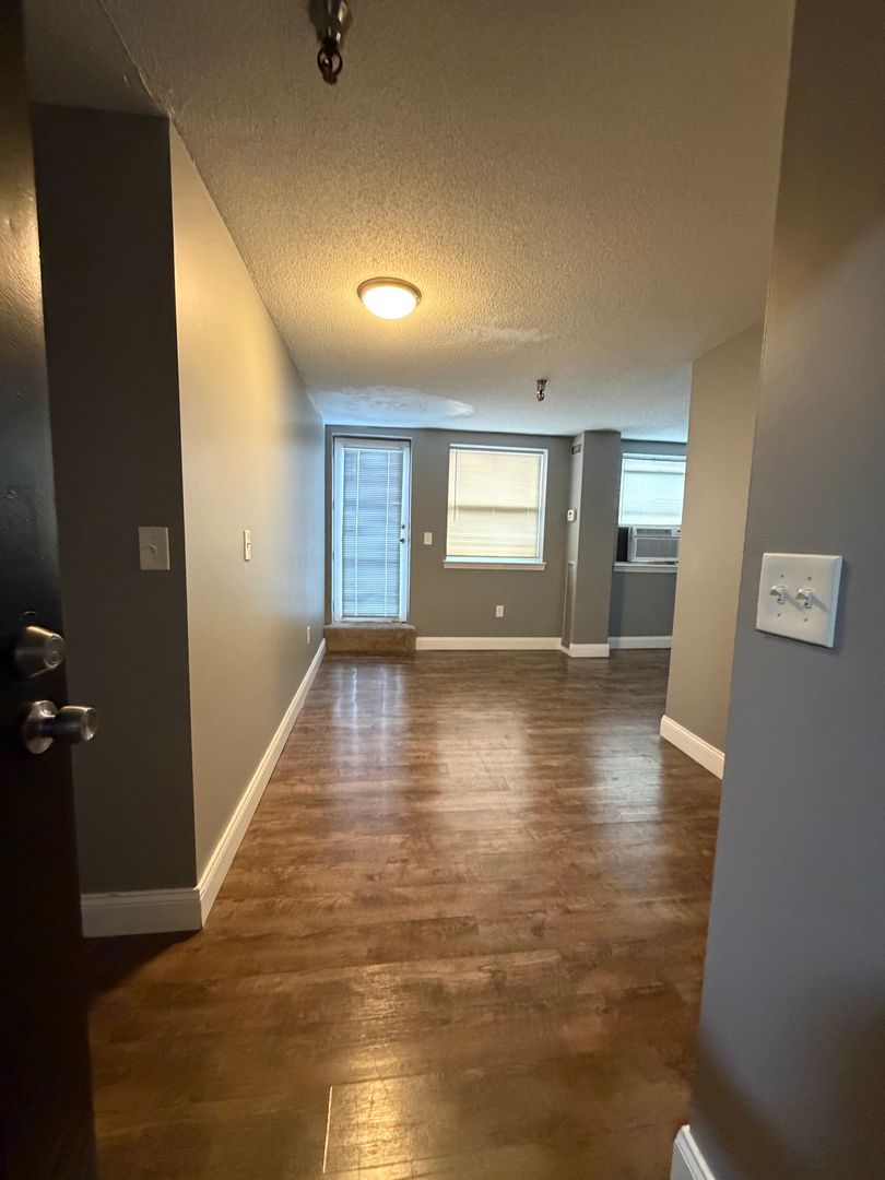Springfield Apartment: 122 Chestnut St.