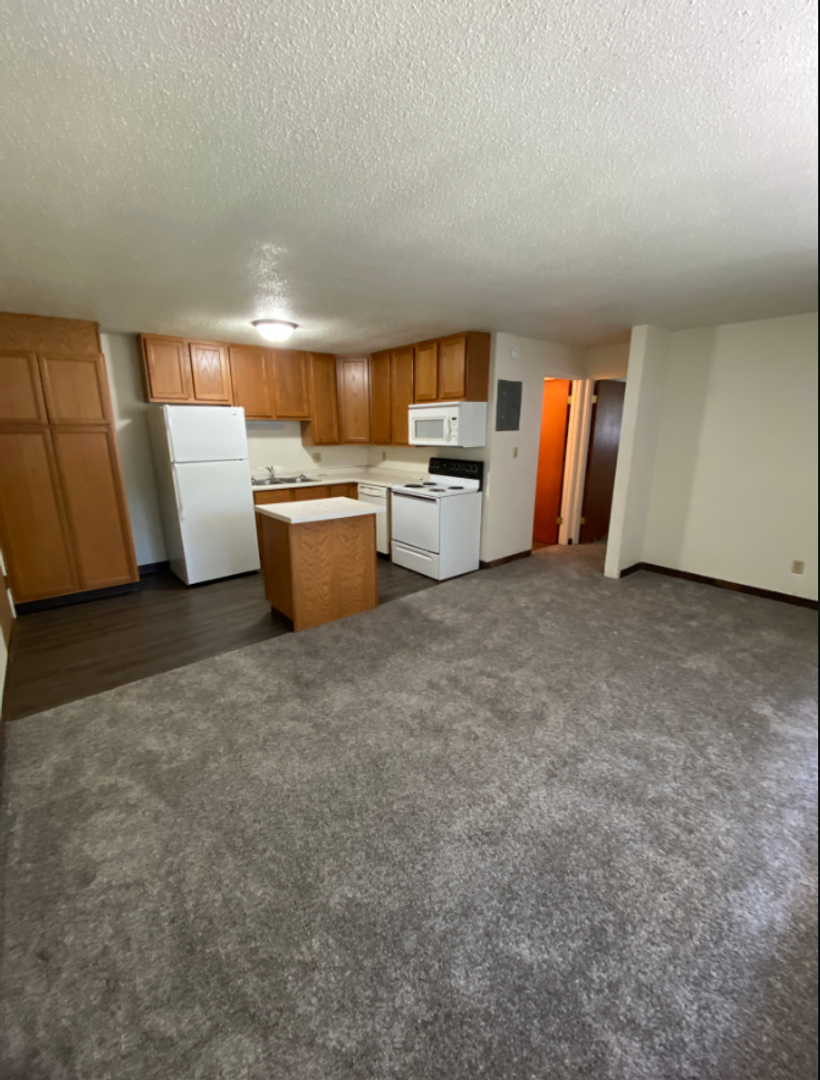 Fargo Apartment: 808 College Street