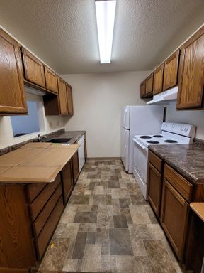 4235 9th Ave Cir S - 203 – photo 1