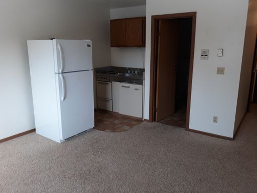 1133 S Landeco Ln - 305