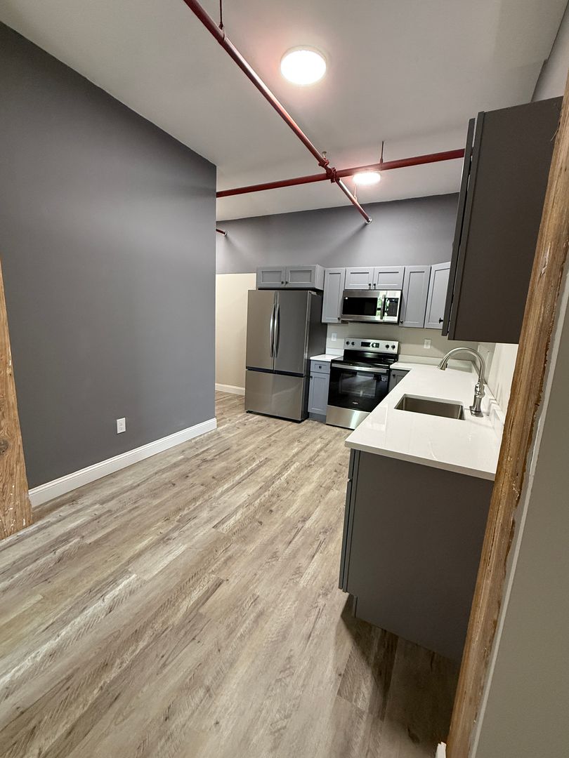 Worcester Apartment: 70 Webster St