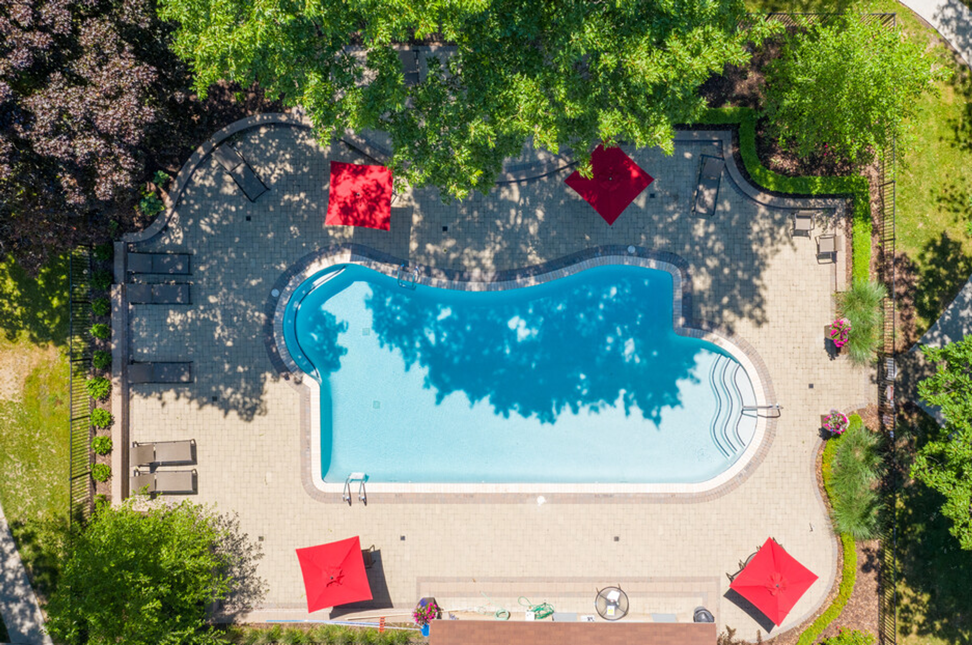 Pool at The Ivanhoe Apartments (2 of 3)