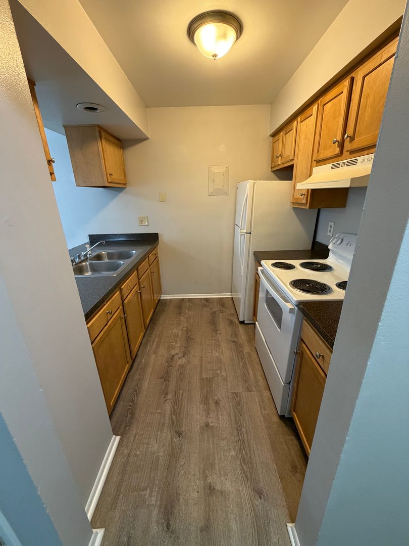 Lansing Apartment: 335 E Saint Joseph St.