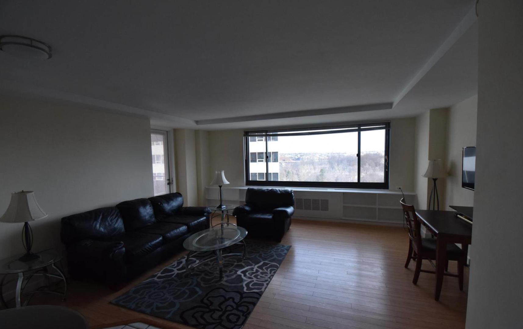 Arlington Condo: 1021 Arlington Blvd Unit 918