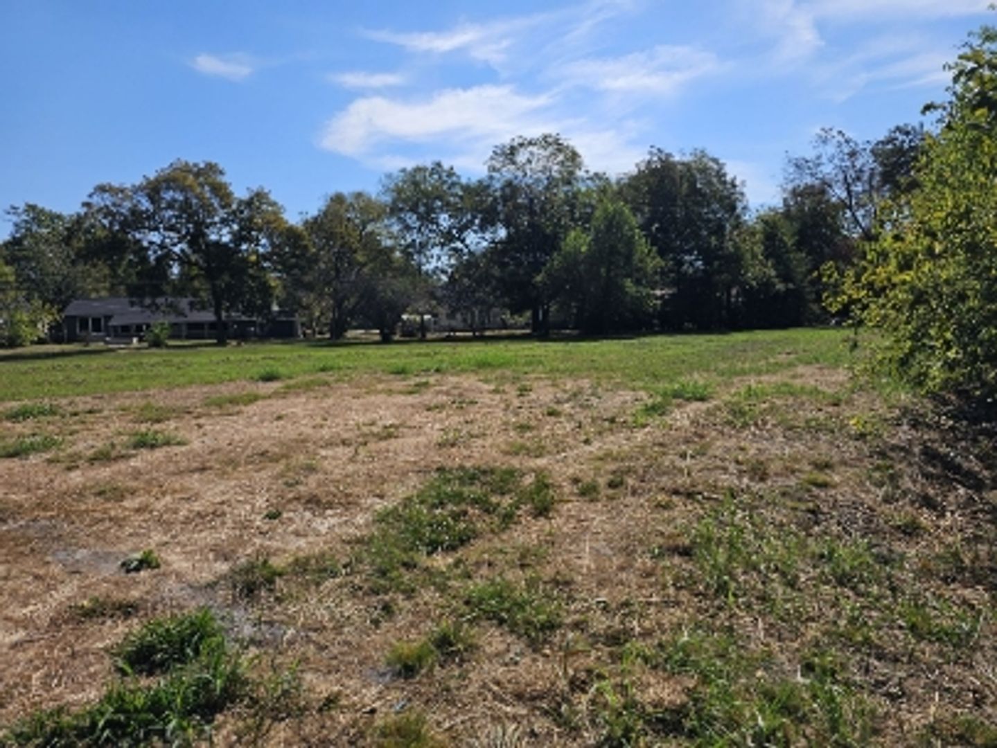 Greenville House: 1107 Esma SHOP