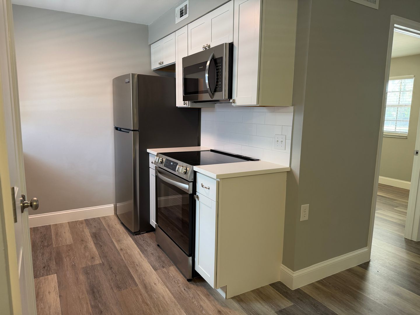 Leesburg Apartment: 420 South Palmetto Street