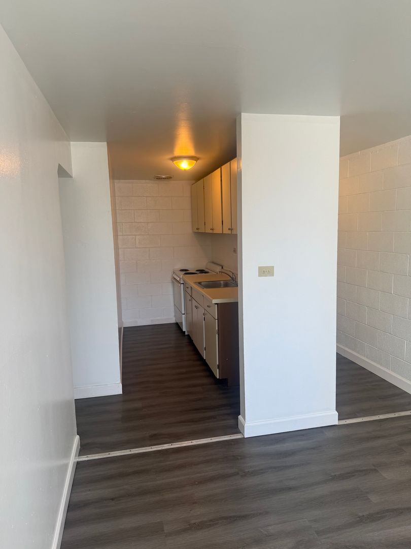 Carbondale Apartment: 1207 South Wall Street