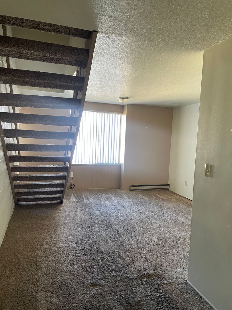 1207 S. Wall St. Carbondale IL 62901, Carbondale, IL 62901