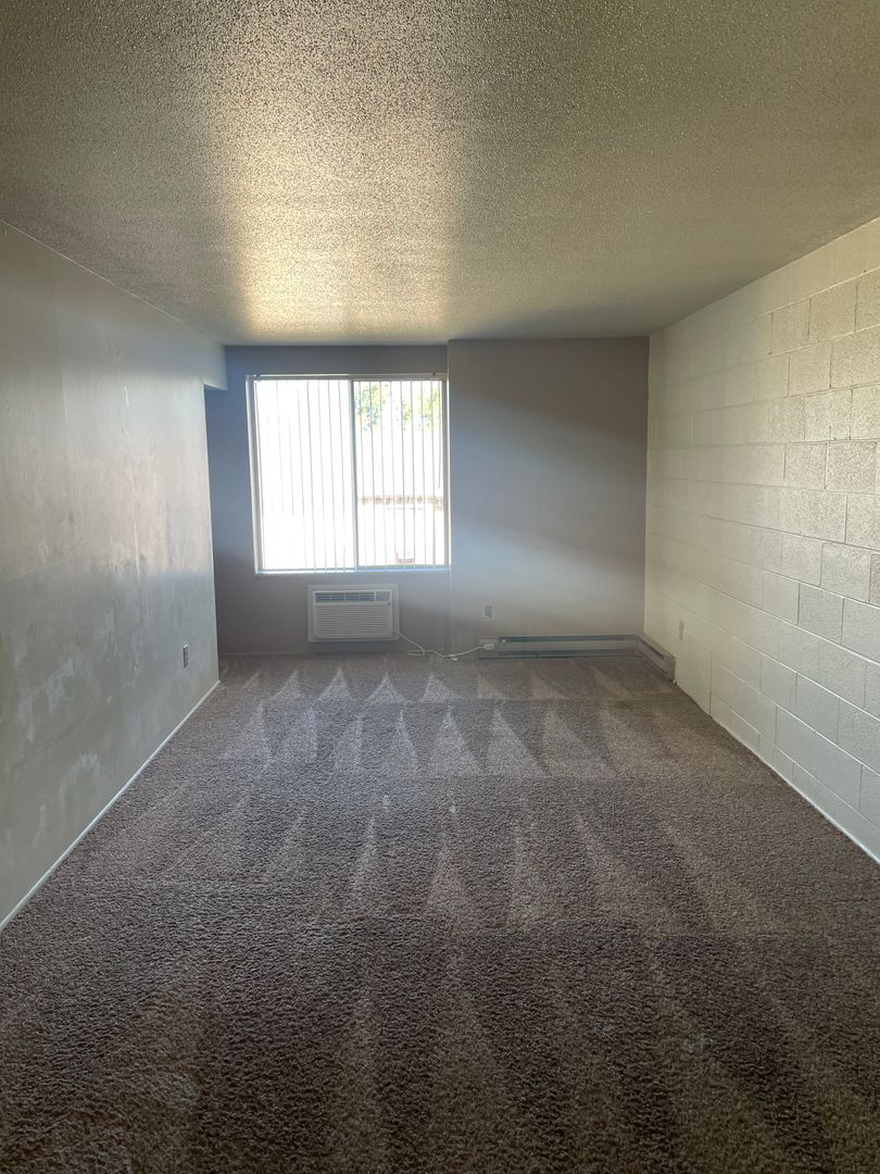 1207 S. Wall St. Carbondale IL 62901, Carbondale, IL 62901