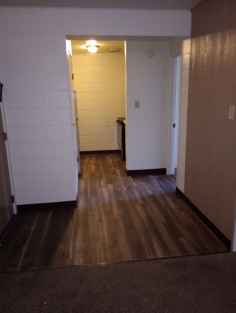 Carbondale Apartment: 1207 South Wall Street