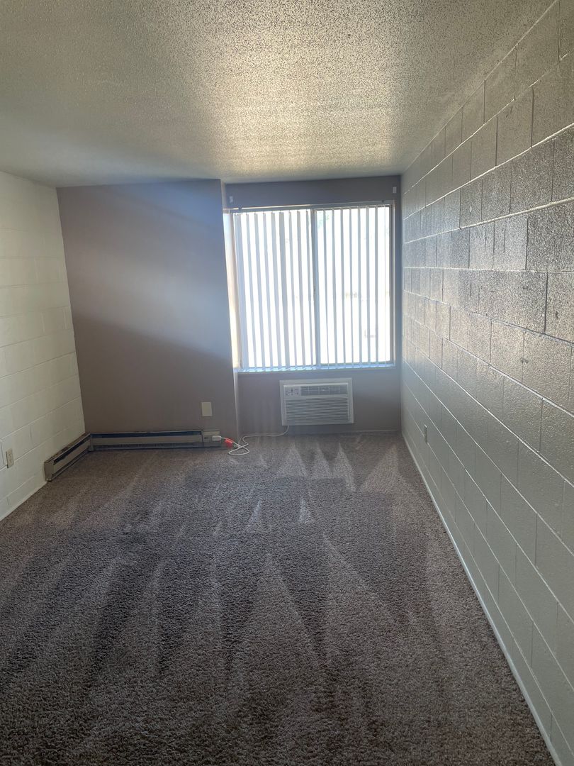 1207 S. Wall St. Carbondale IL 62901, Carbondale, IL 62901