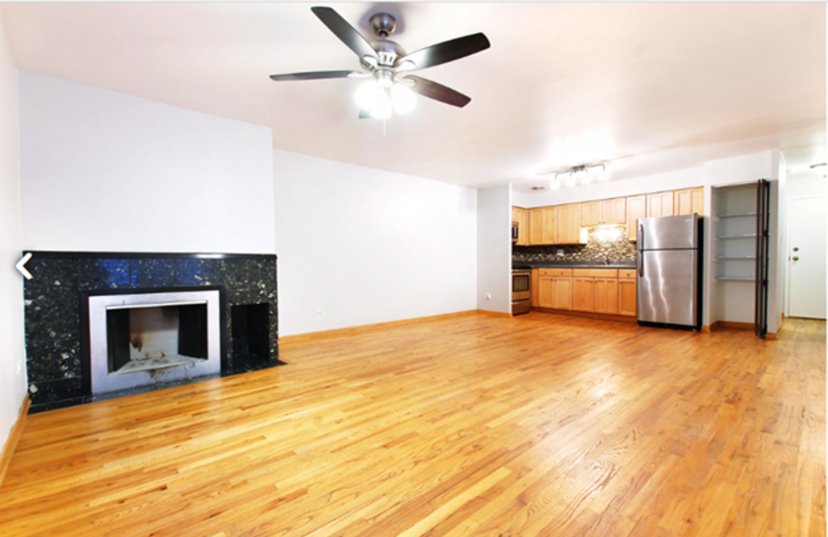 Chicago Apartment: 744 W. Gordon Terrace