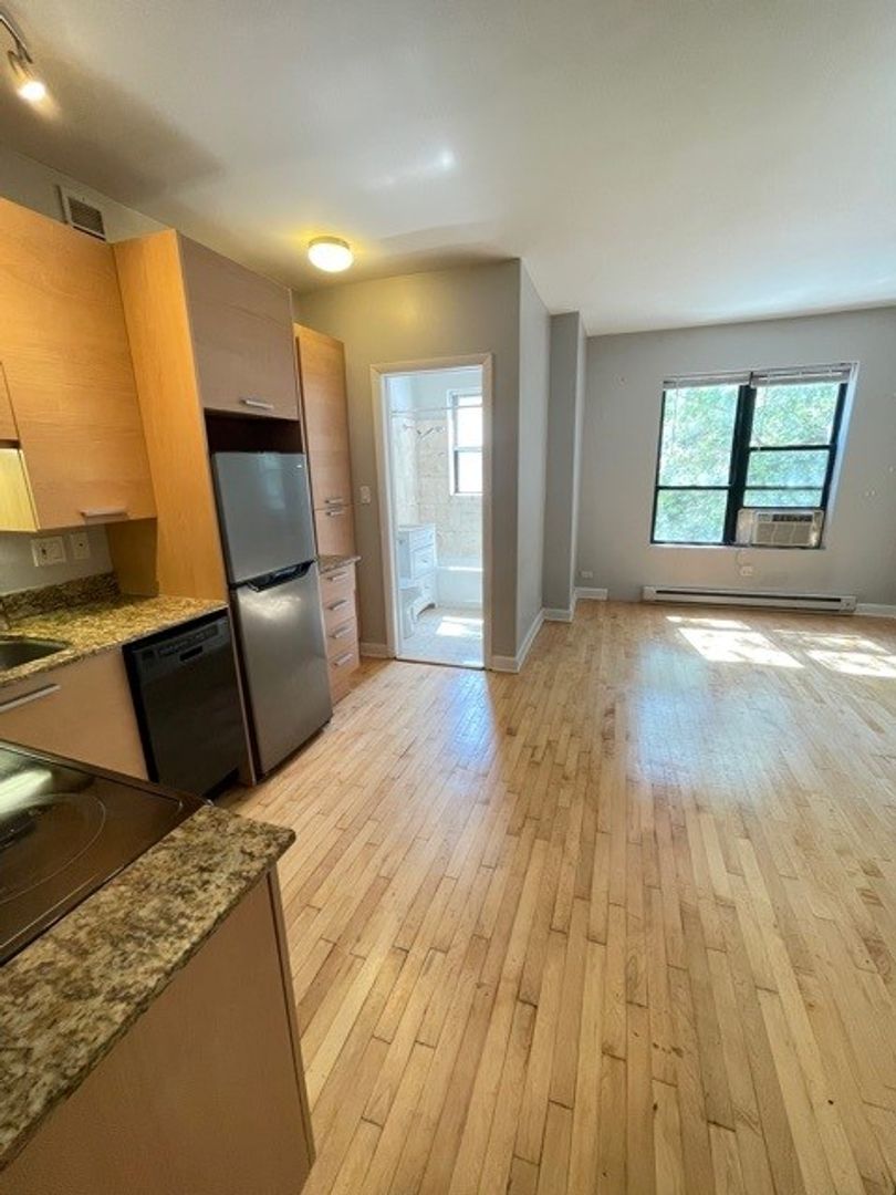 Chicago Apartment: 732 W Bittersweet Pl.
