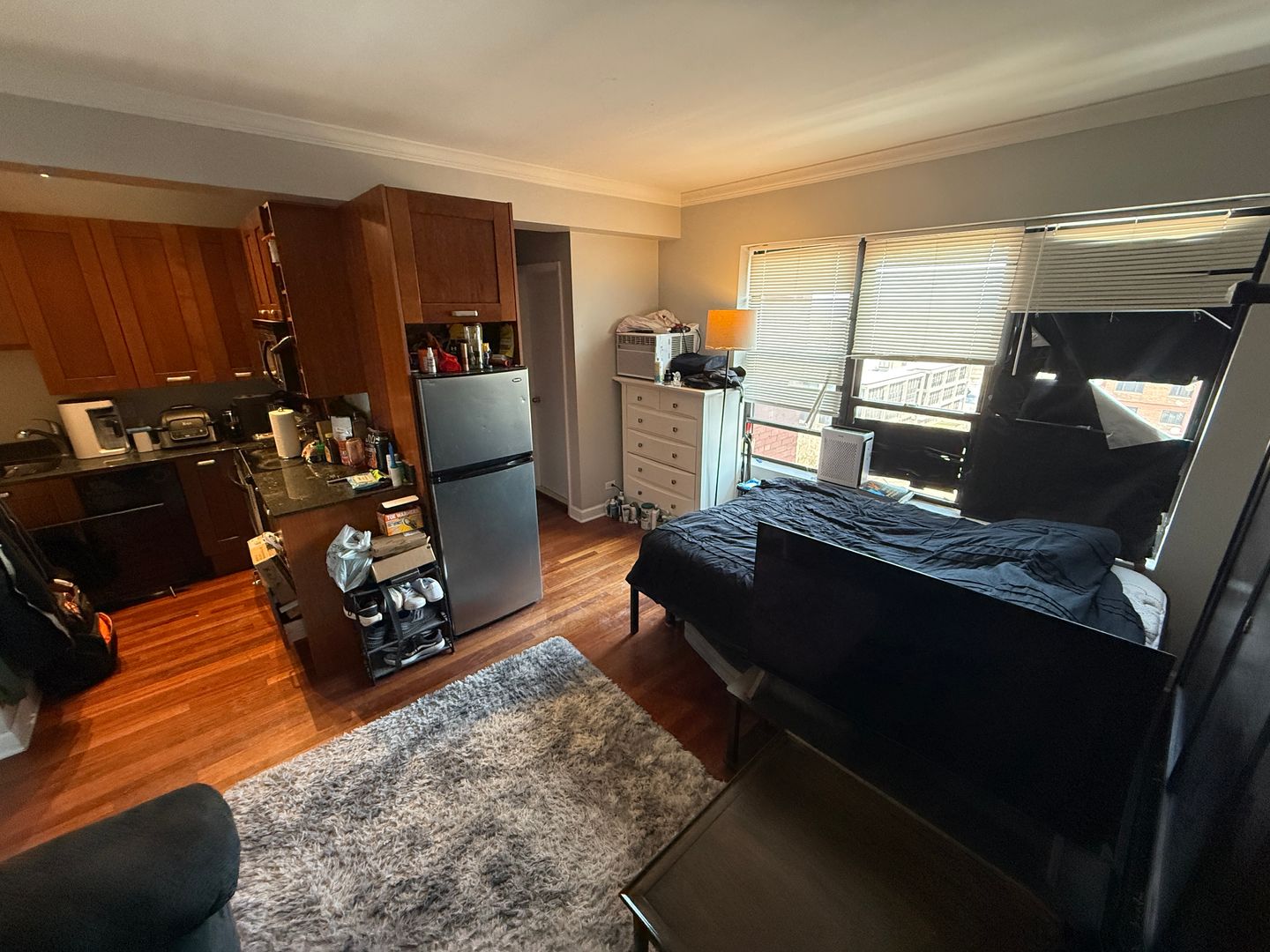 Chicago Apartment: 732 W Bittersweet Pl.