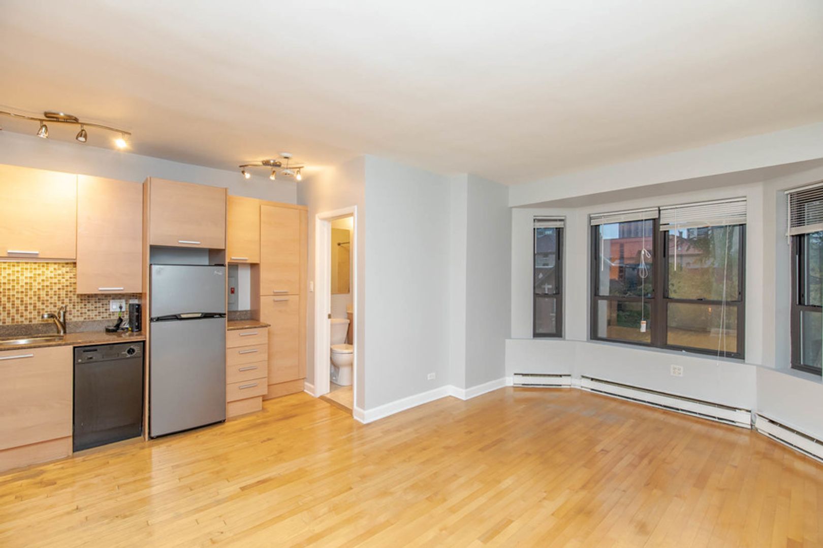 Chicago Apartment: 732 W Bittersweet Pl.