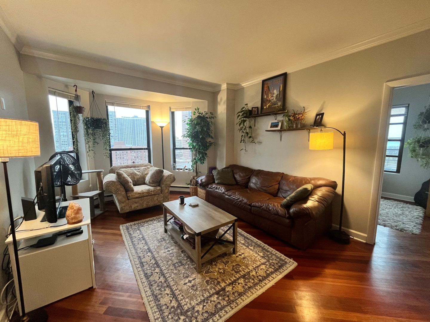 Chicago Apartment: 732 W Bittersweet Pl.