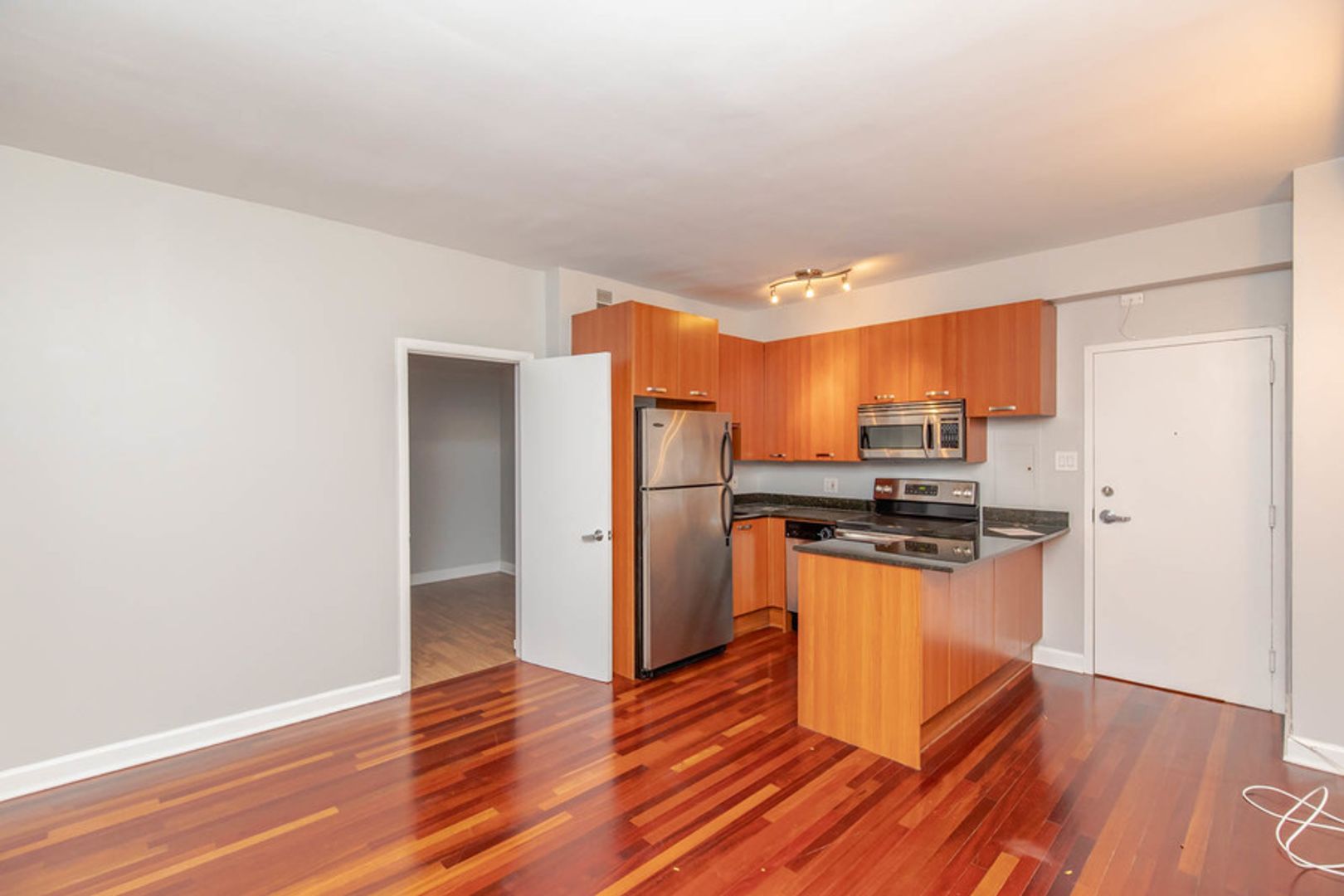 Chicago Apartment: 732 W Bittersweet Pl.