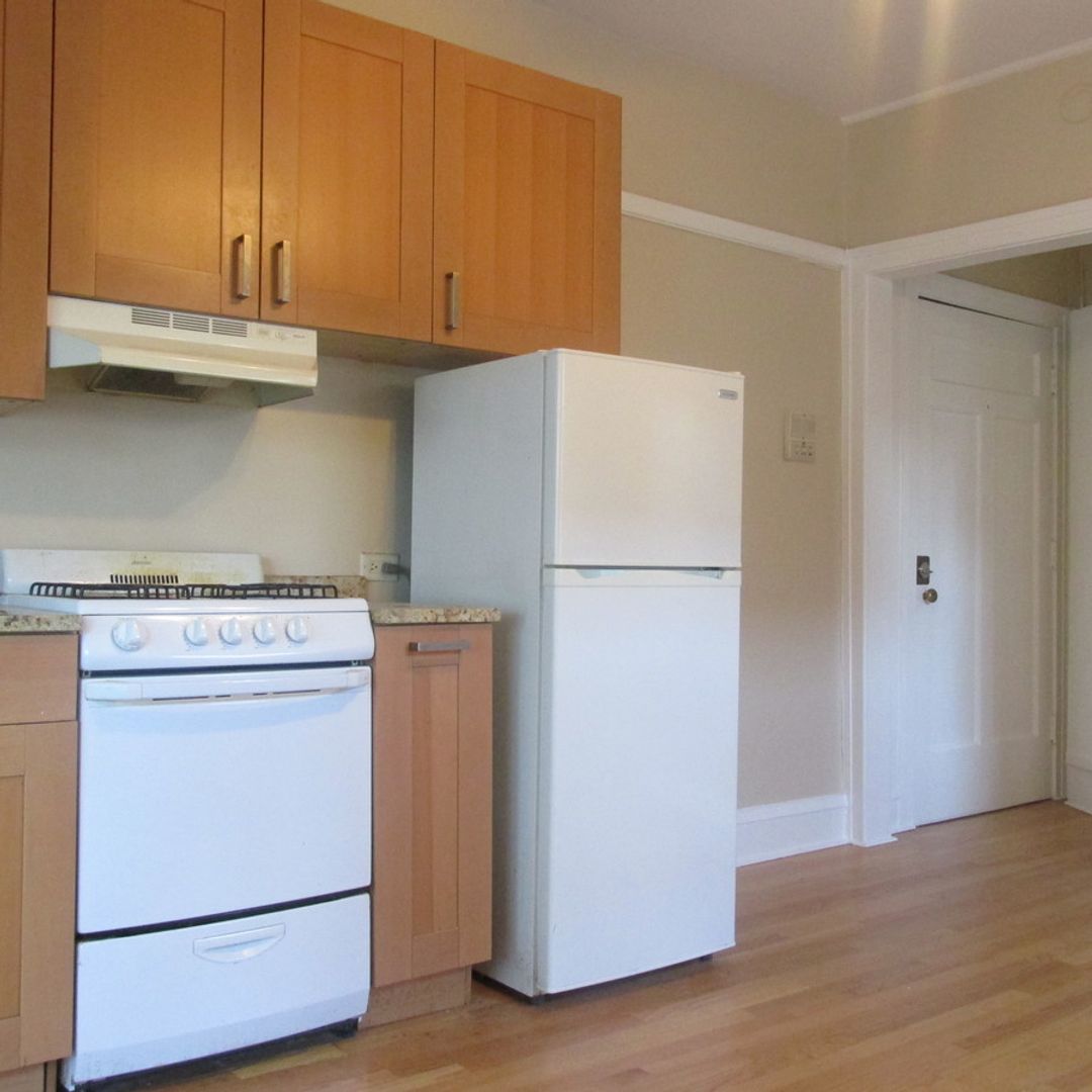 Oak Park Apartment: 1120 Ontario St