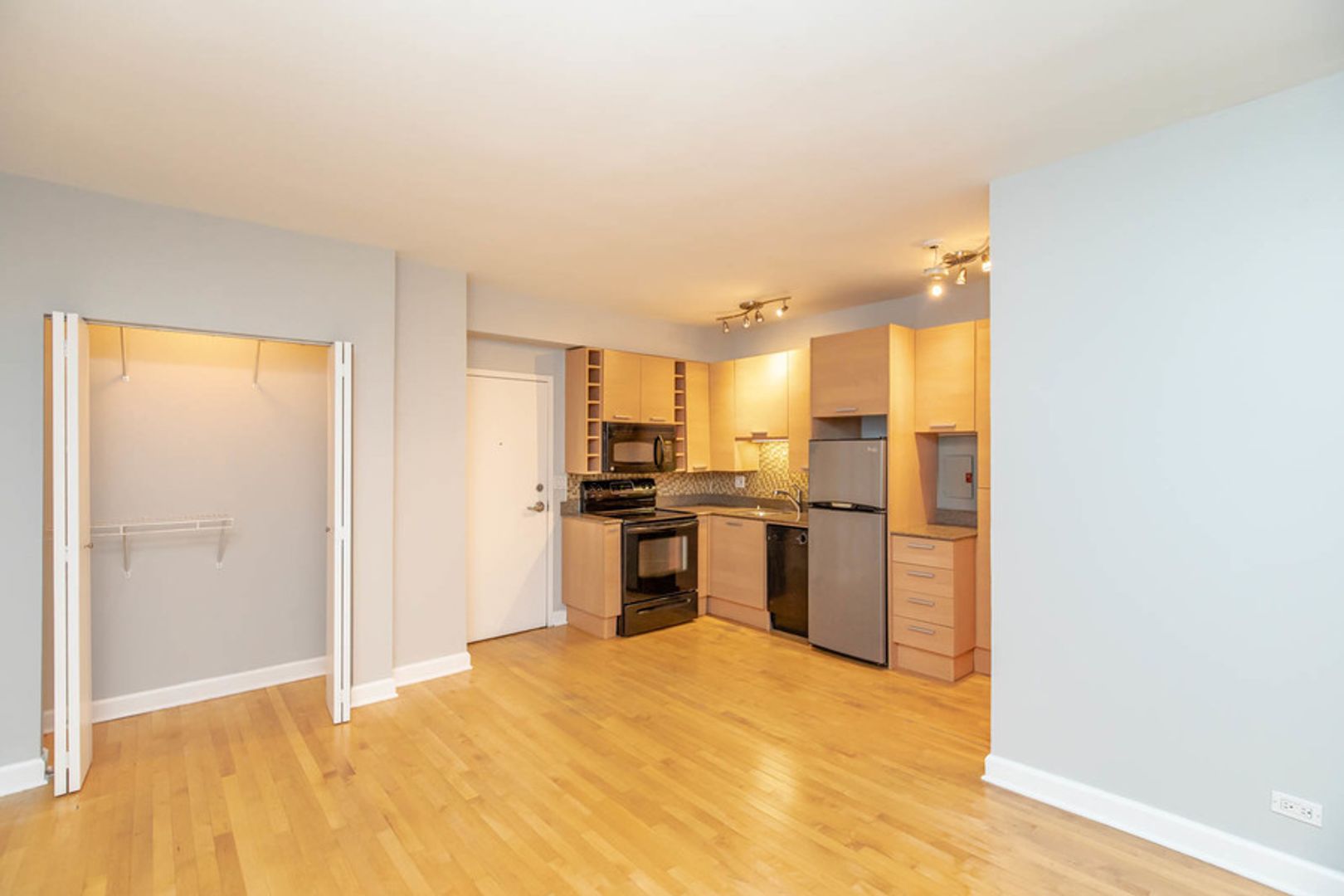 Chicago Apartment: 732 W Bittersweet Pl.