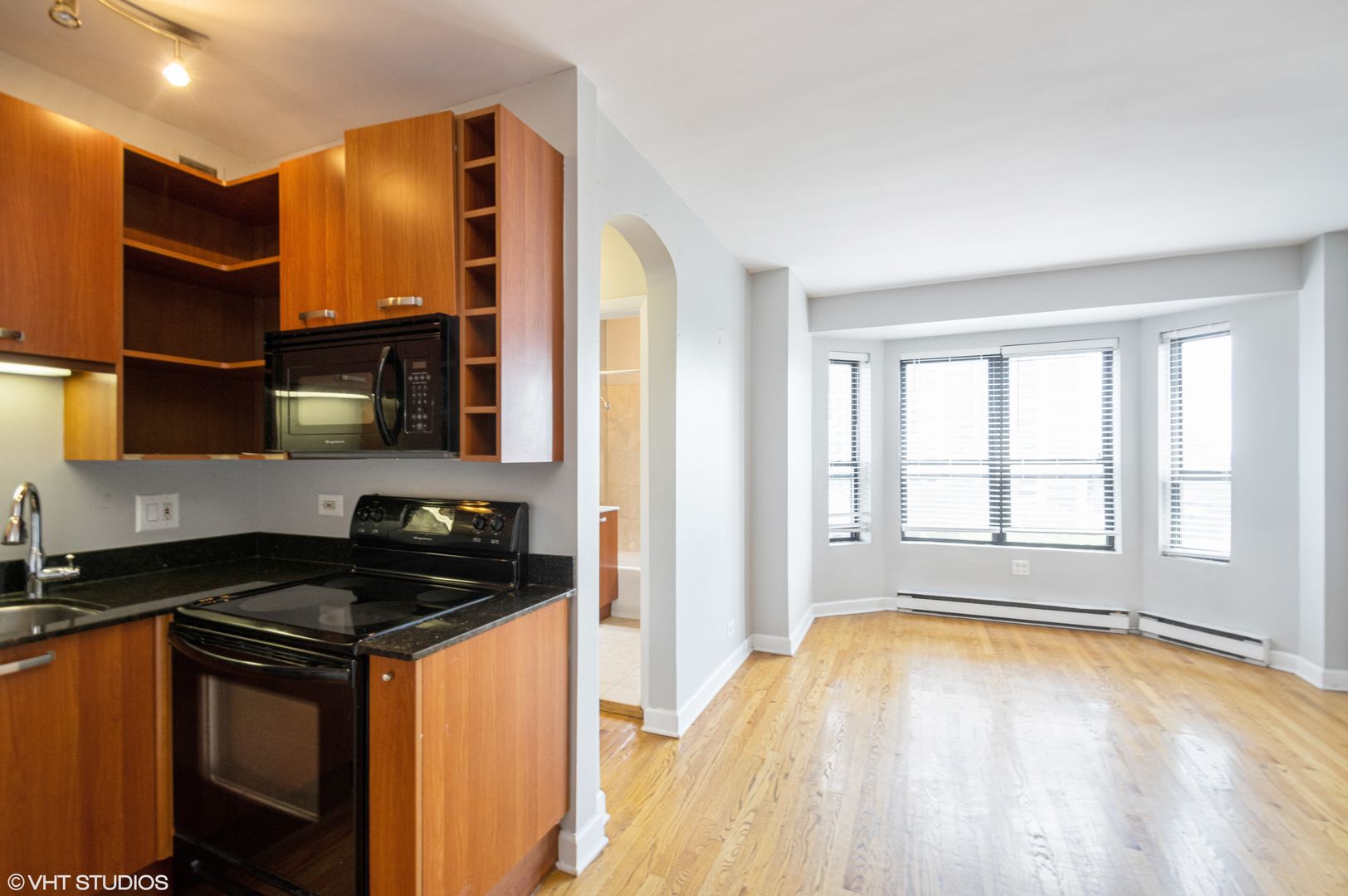 Chicago Apartment: 732 W Bittersweet Pl.