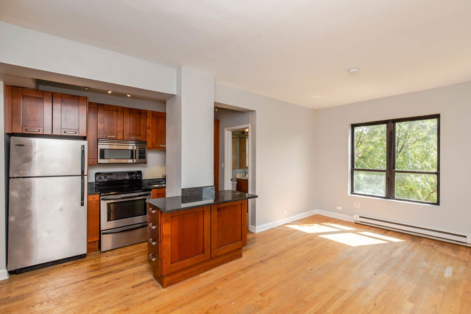 Chicago Apartment: 732 W Bittersweet Pl.