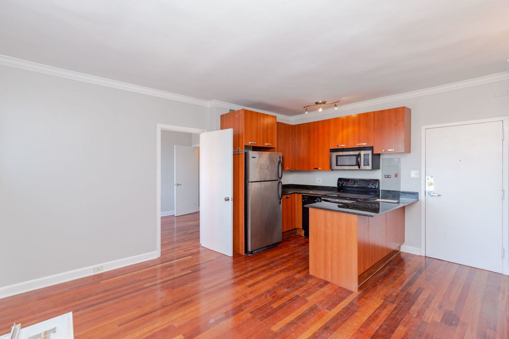 Chicago Apartment: 732 W Bittersweet Pl.