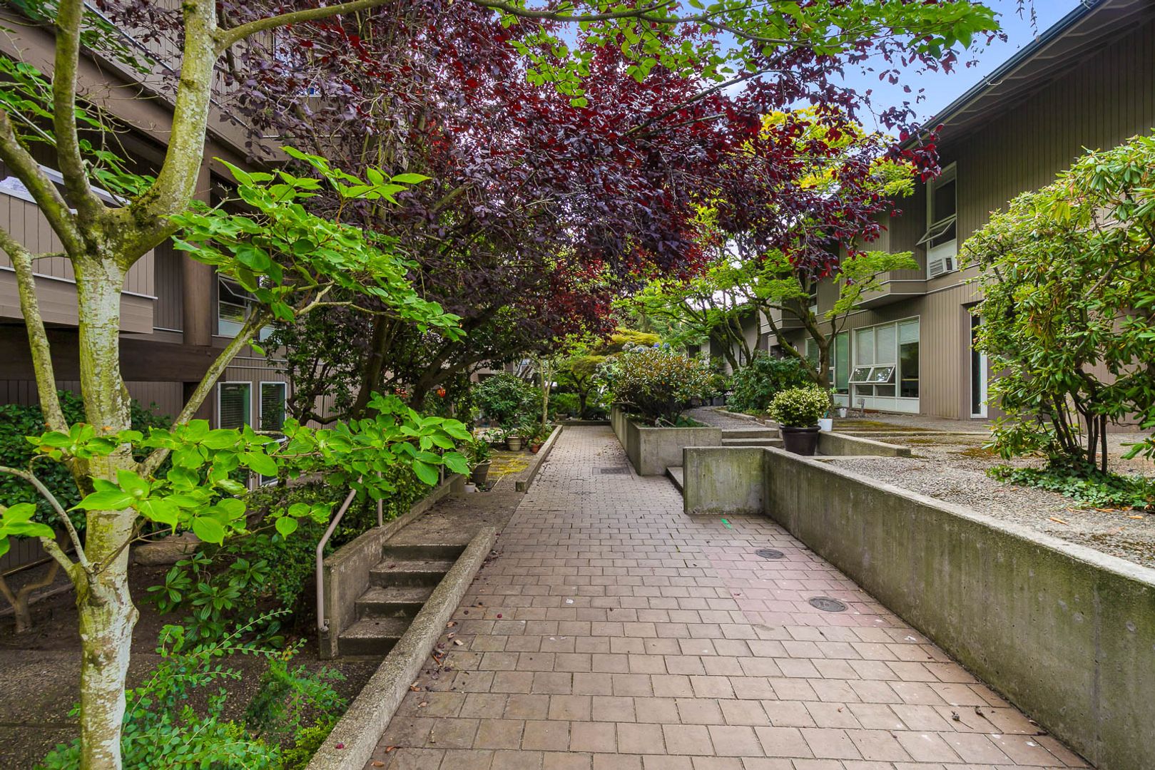 860 100th Ave NE Unit 39, Bellevue, WA photo 4