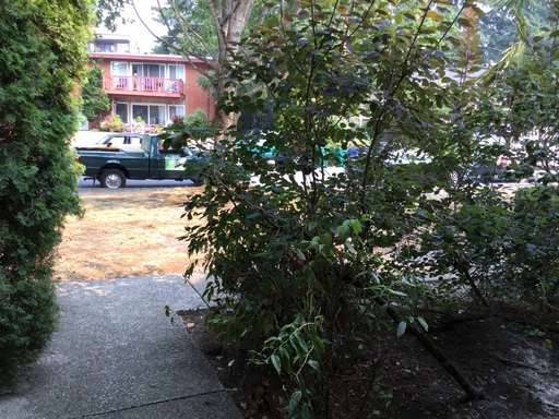 Listing photo thumbnail