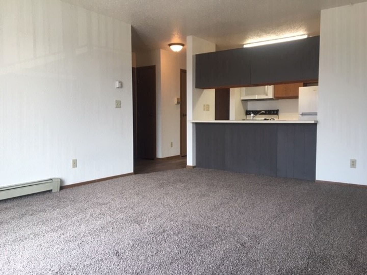 Fargo Apartment: 4602 16th Ave S