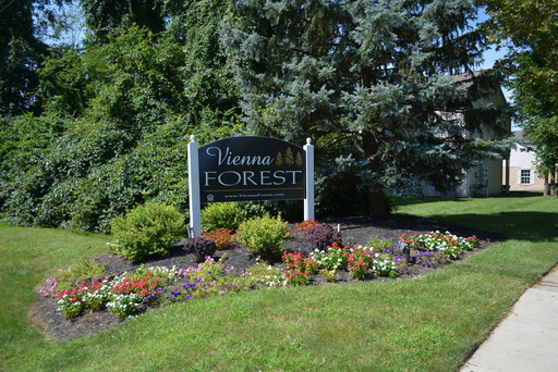 2 bd/2baths Beautiful Apt **MOVE IN SPECIALS** – photo 1