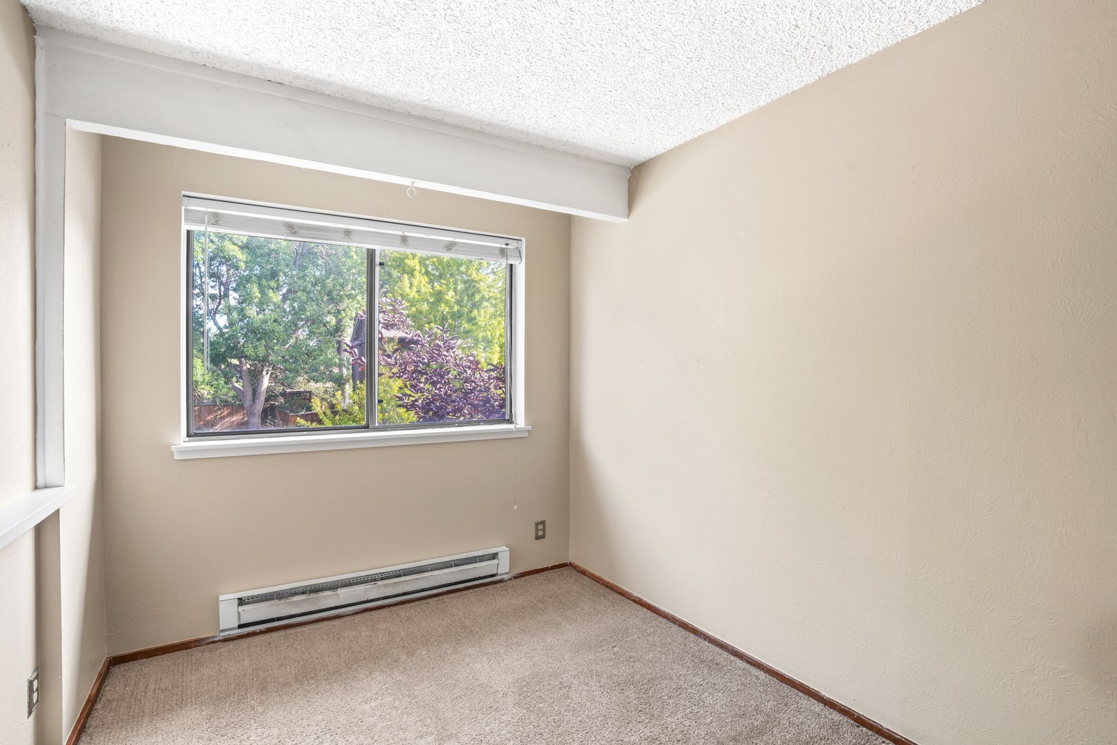 2633 Juniper Ave. 9 of 12