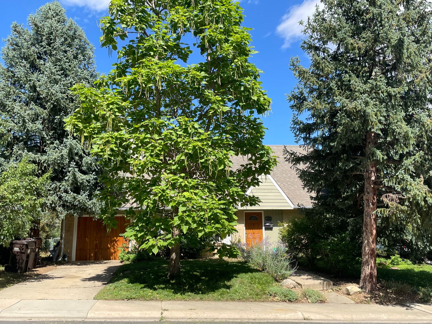 Boulder House: 345 South 44th Street