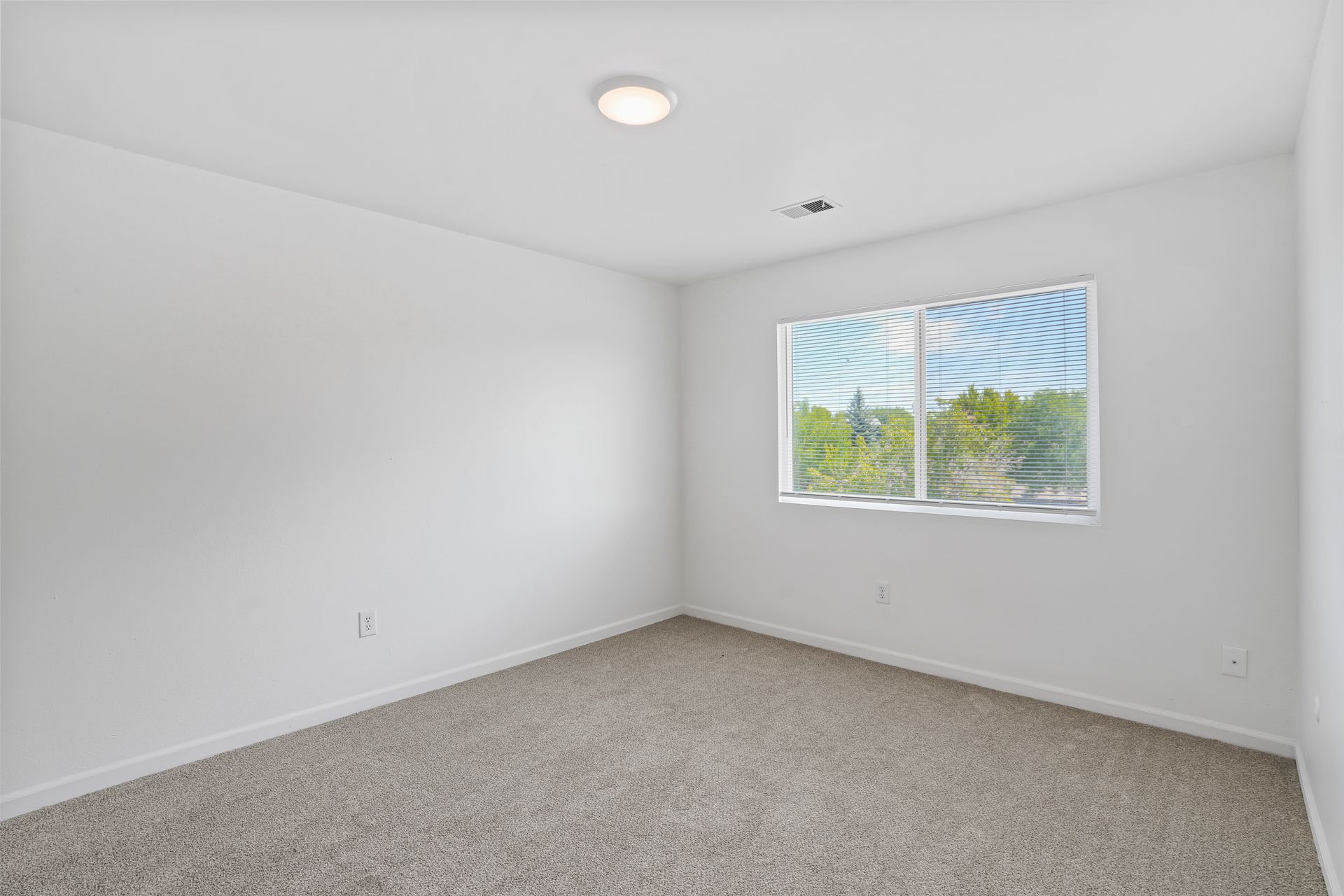 Stunning Top-Floor 3-Bedroom Longmont Residence with Bright Sun-Drenched Rooms 3 of 12
