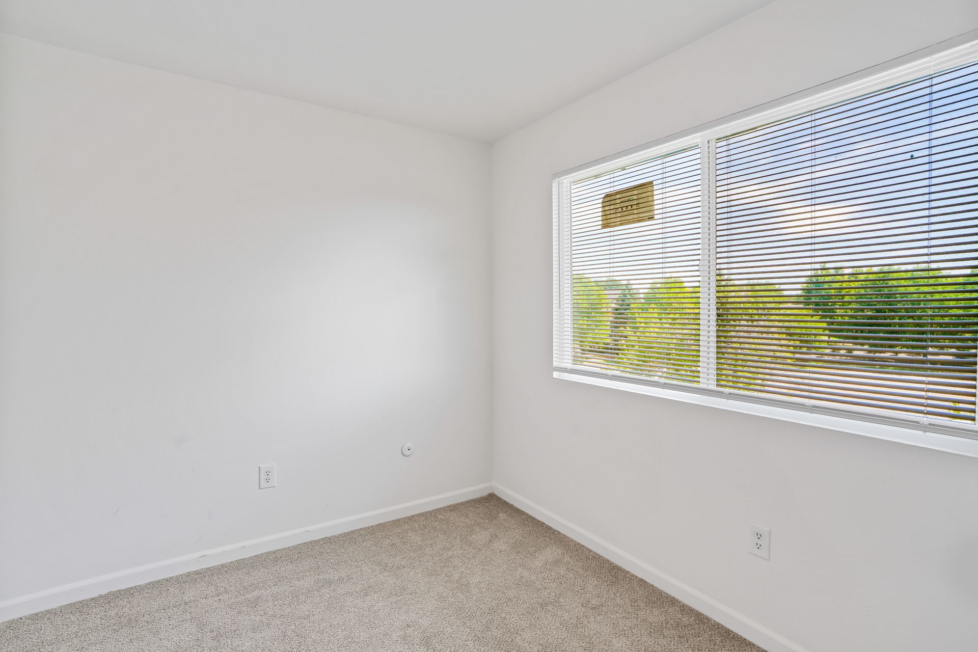 Stunning Top-Floor 3-Bedroom Longmont Residence with Bright Sun-Drenched Rooms 6 of 12