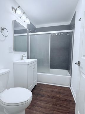 Bright Renovated 1BR in Pilsen | In-Unit Laundry + Central Air – photo 1