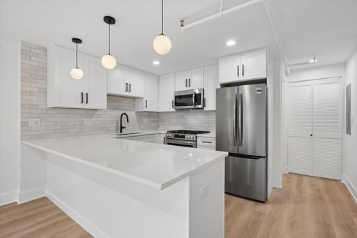 Bright Logan Square 2BR/2BA | Chef's Kitchen, In-Unit W/D, Balcony – photo 1