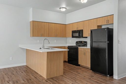FREE RENT - Beautiful Modern New Construction in Desirable South Salem Area – photo 1