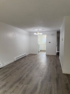 FREE MONTH OF RENT - Welcome to Silverleaf Apartments! – photo 1