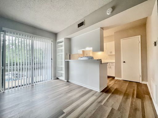Large 1/1 Apartment - Hard Surface Flooring – photo 1