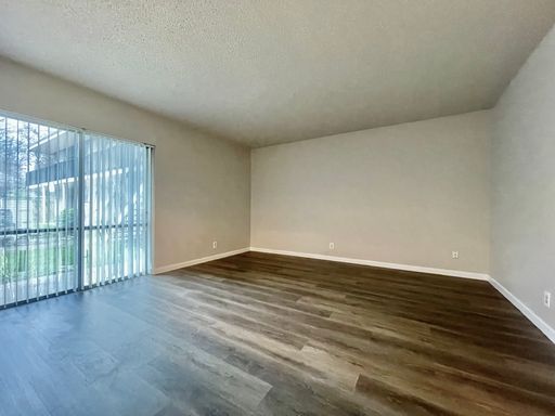 Large 1/1 Apartment - Hard Surface Flooring – photo 1