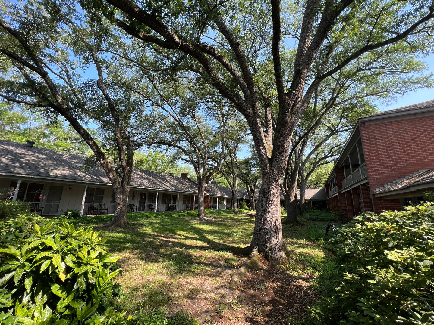 Shreveport Apartment: Line Avenue, 3875