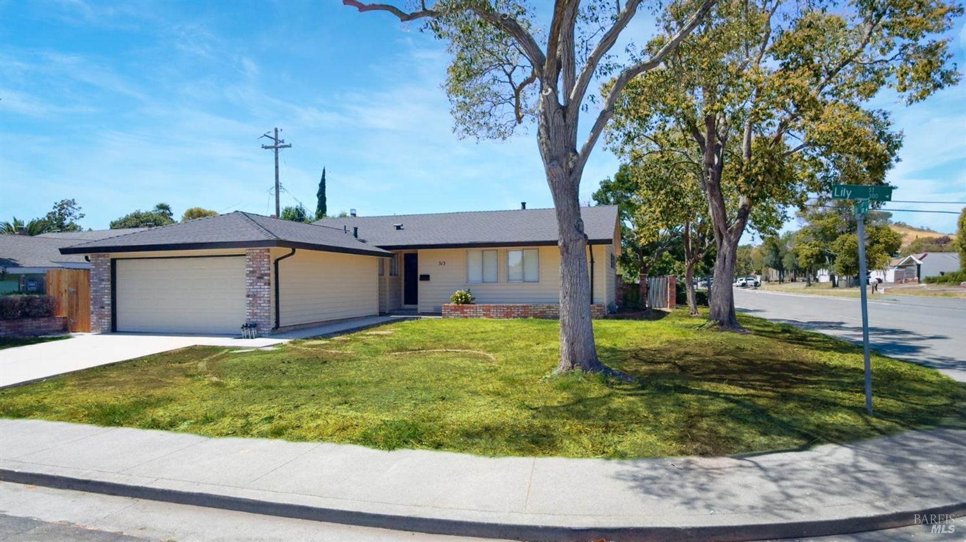 Fairfield House: 313 Lily Street