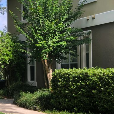 Beautiful end unit townhouse with 3 bdrms, 2-1/2 baths and 2 car garage! – photo 1