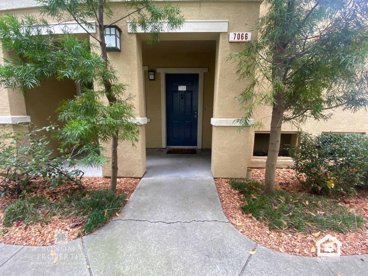 Cotati Apartment: 7066 Santero Way