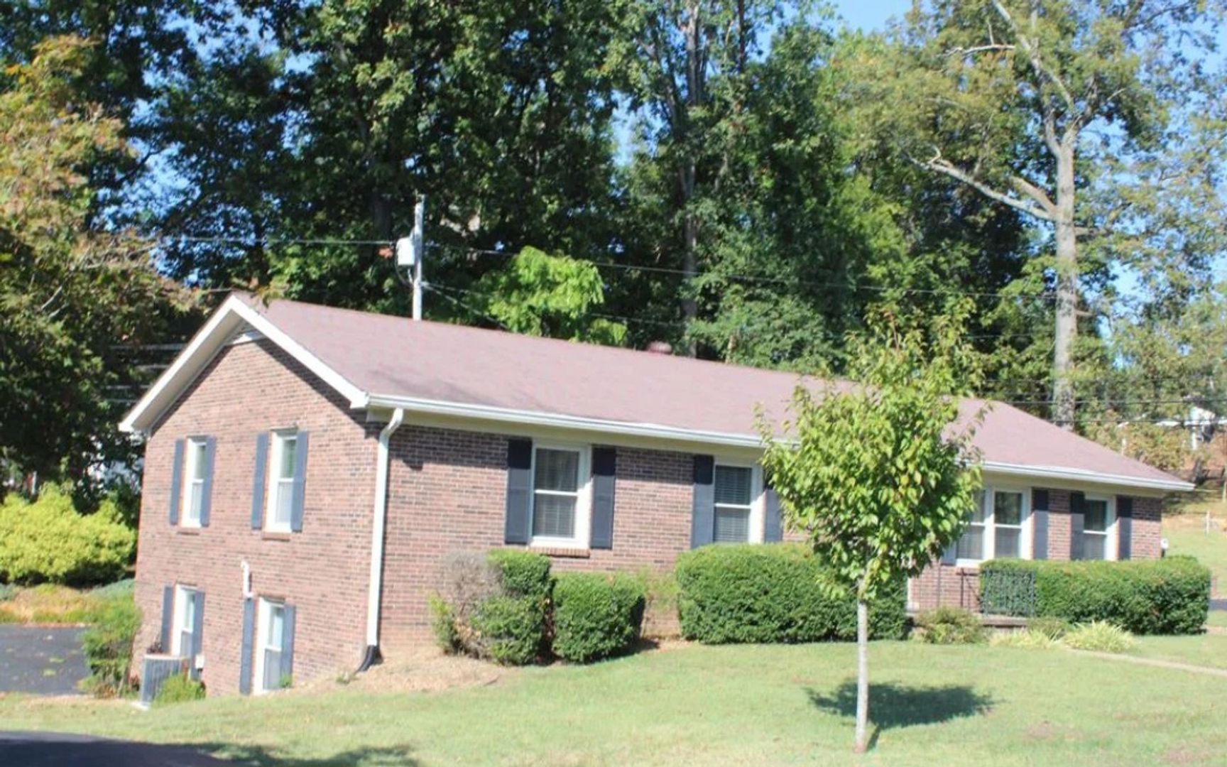 Glasgow House: 113 Moss Street