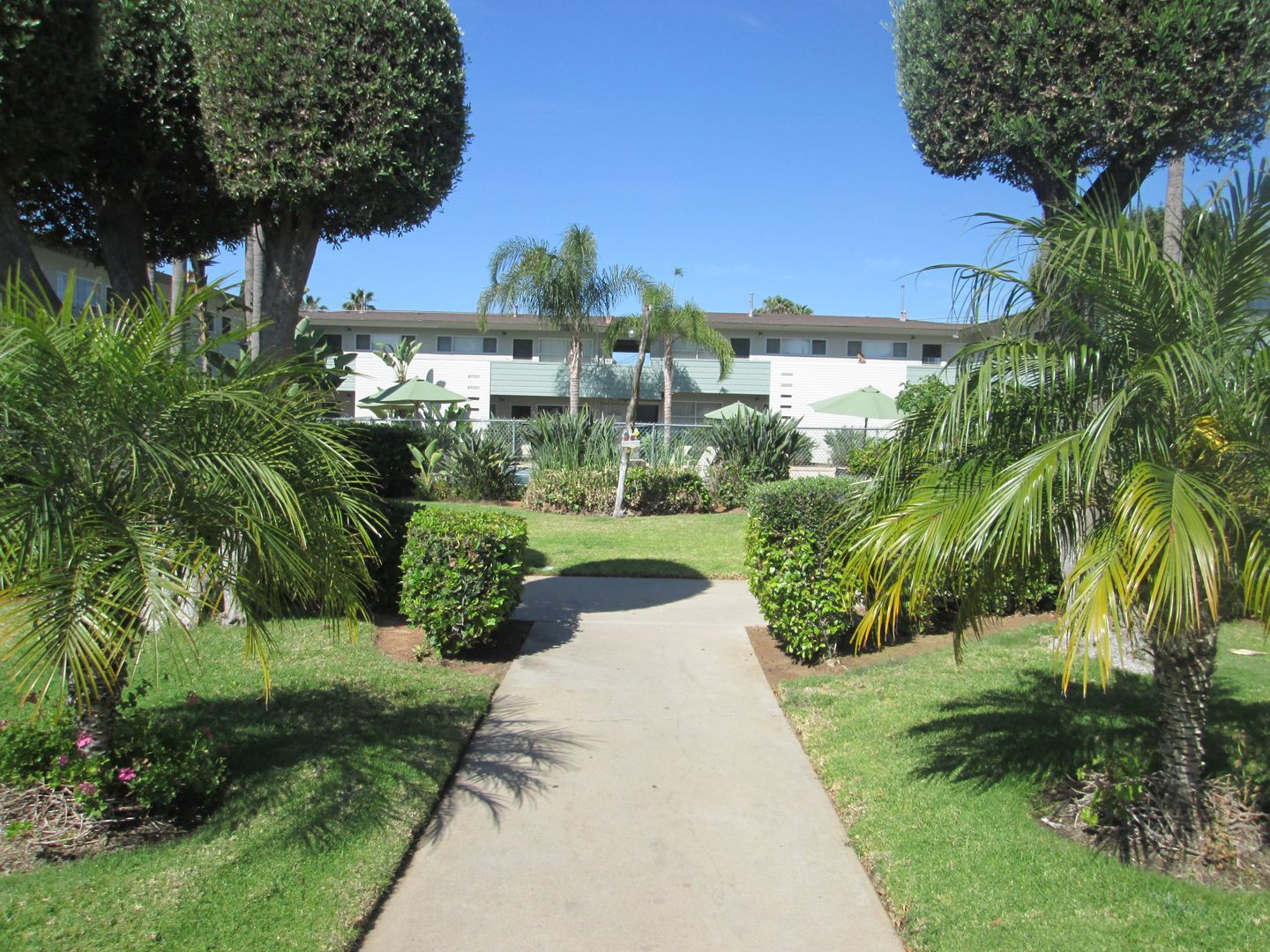 Chula Vista Apartment: 262 Fig Ave