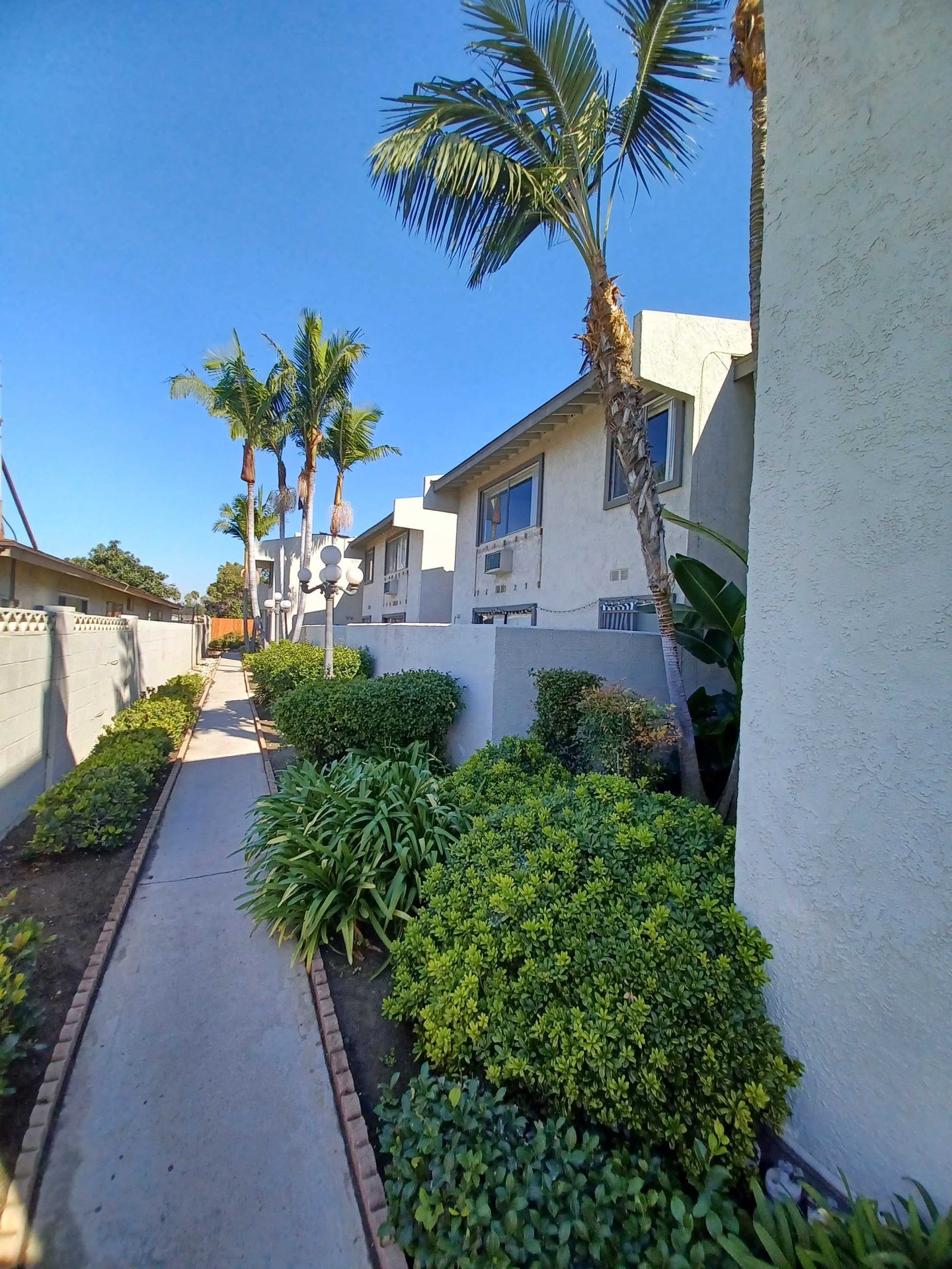 The Palms 4 of 12
