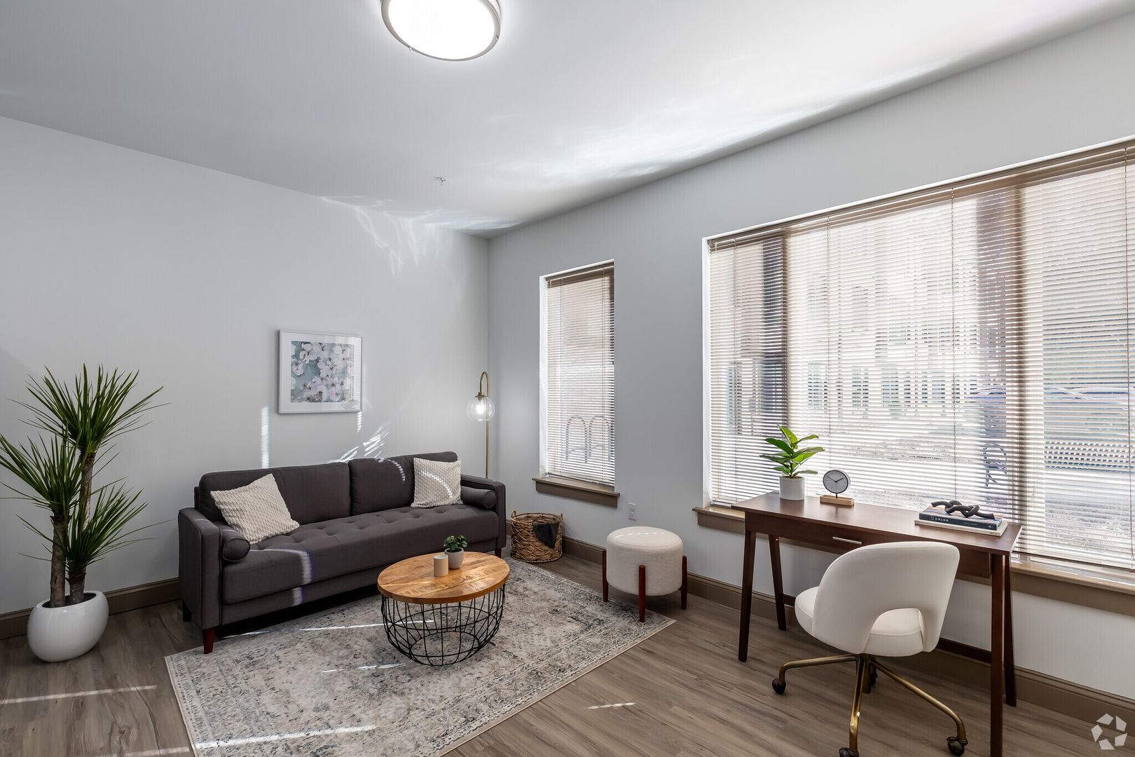 Amherst Apartment: 133 S East Commons